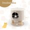 3-in-1 Cat Condo Stool with Scratching Posts and Seat Cushion Hidden Pet Bed Ottoman